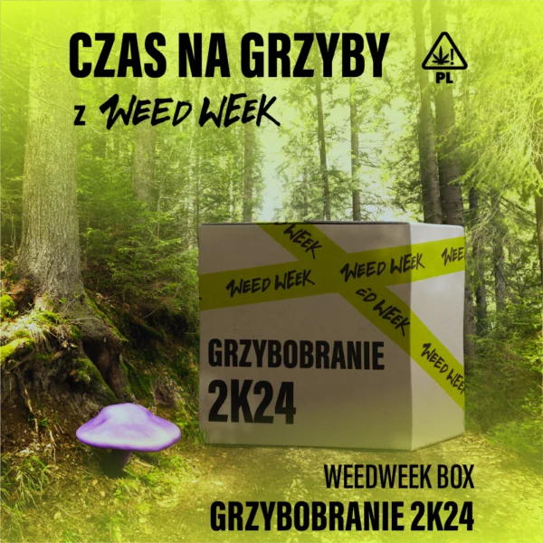 Grafika Ww Box Grzybobranie 1000x1000px Ob.bez. 800x1000px